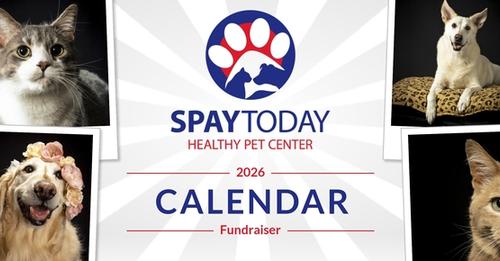 SpayToday Calendar Constest